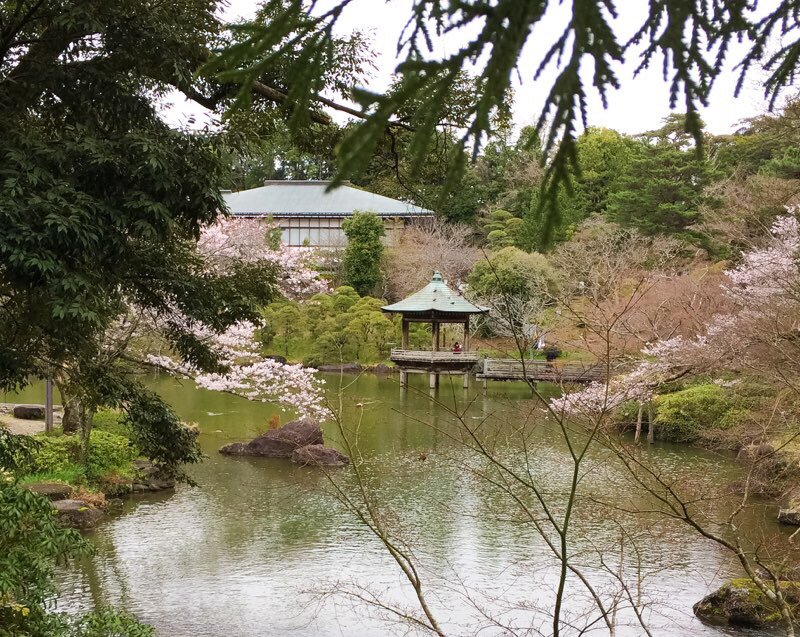 懐古p 成田山公園桜情報 こちらは見頃です 成田山公園は桜の名所じゃあないけど T Co Jf3eiro5dc 懐古p 成田山公園桜情報 こちらは見頃です 成田山公園は桜の名所じゃあないけど T Co Jf3eiro5dc
