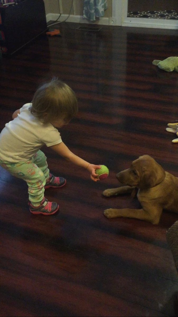 ElizabethDykta's tweet photo. Puppy love. https://t.co/vLMqc0ITMR