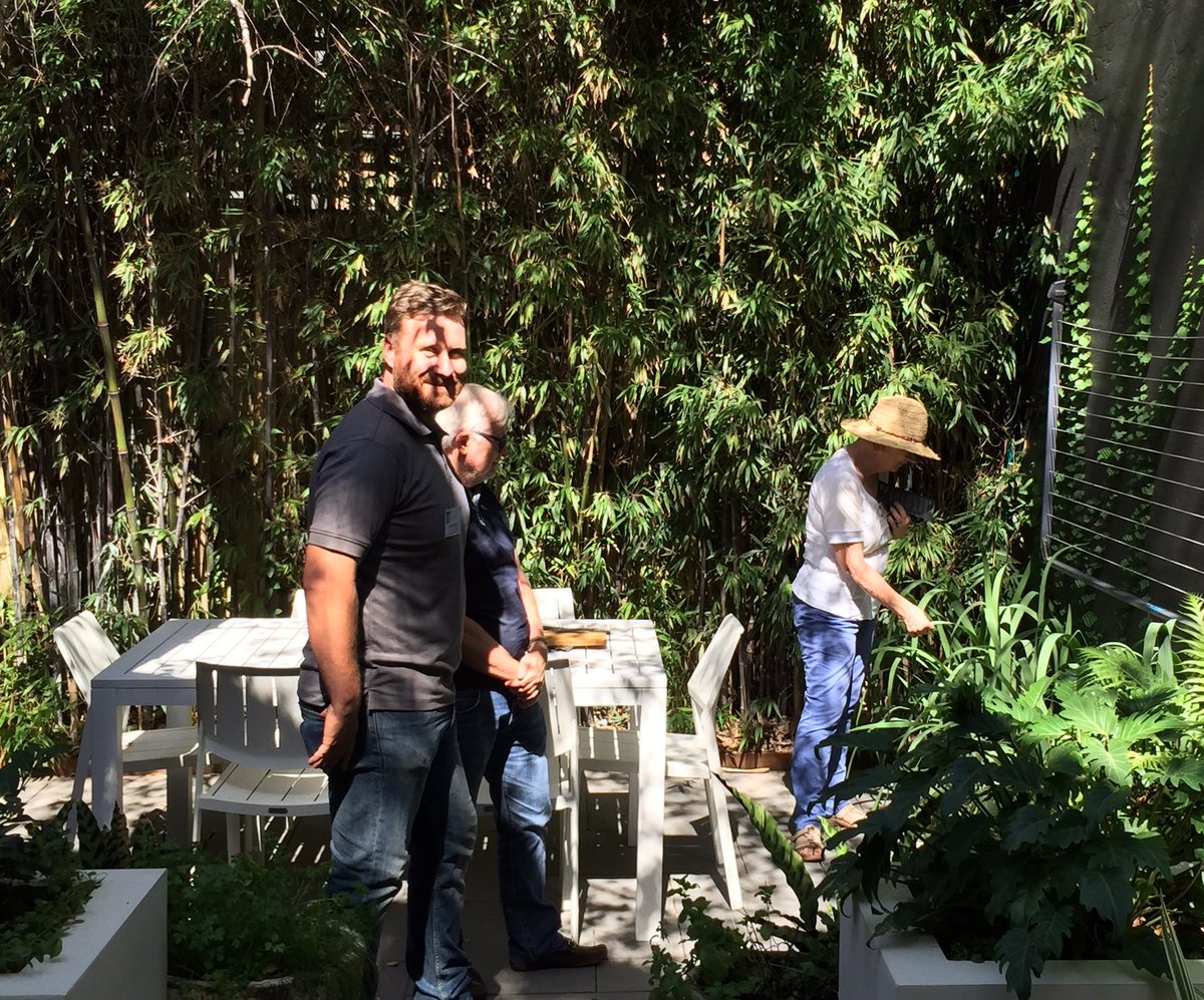 QuercusGardens1's tweet photo. @hiddenfestival 100+ visitors already! #surryhills #AILDM #sydney https://t.co/0CXSztkXEg