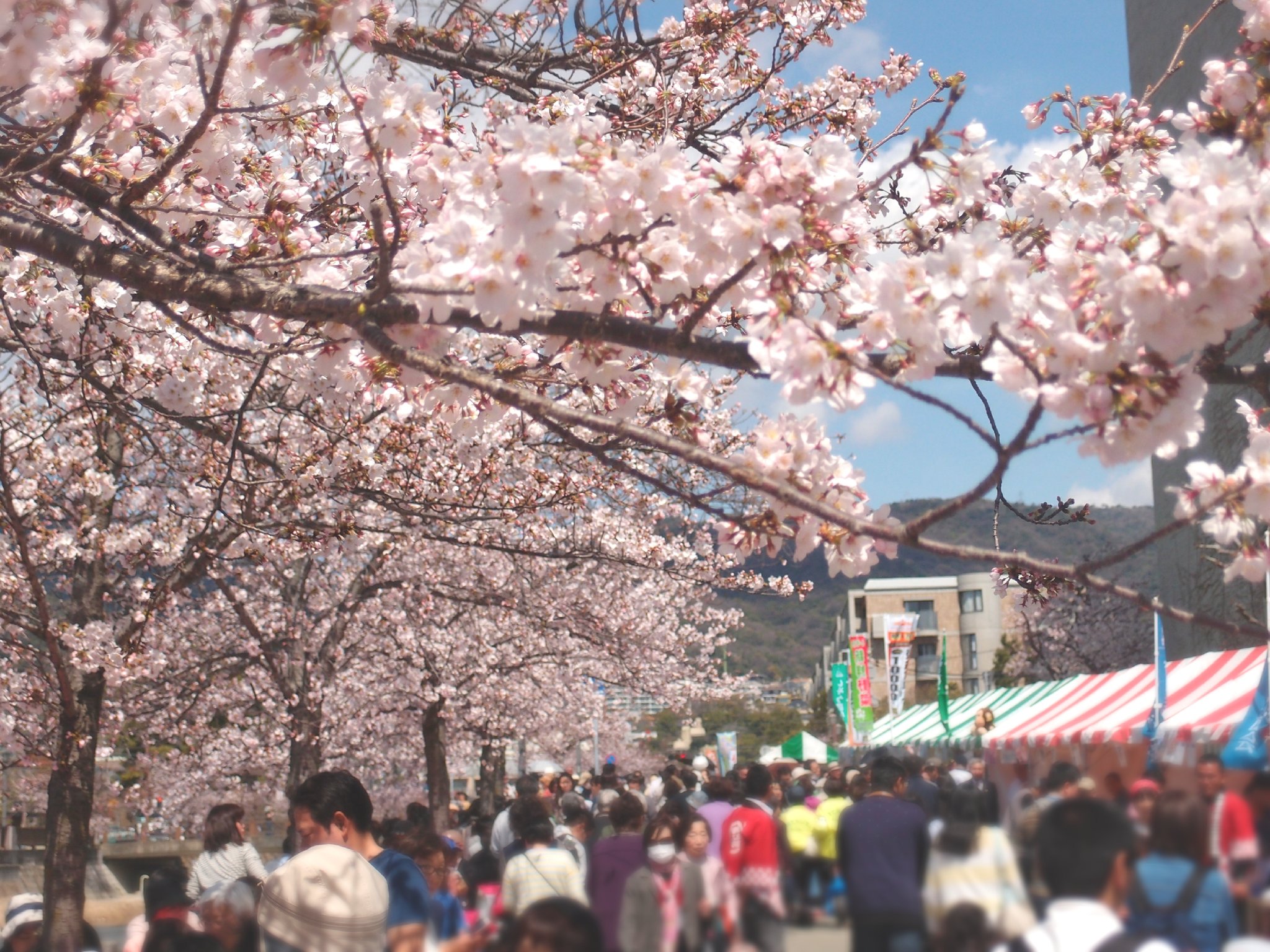 芦屋観光協会 Ashiyaongakusa1 Twitter