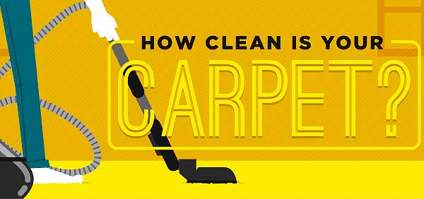 TheCarpetGurus's tweet photo. Do you know what creepy and nasty stuff are hiding in your carpet? Find out now!

https://t.co/ruiGKYUL2l https://t.co/Pg9GASo3oR