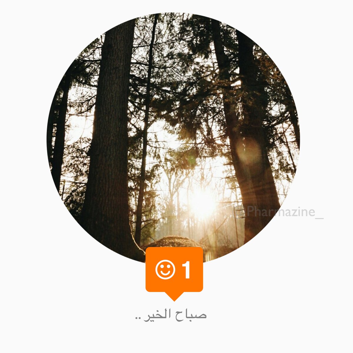 pharmazine_'s tweet photo. حسبي الله لا آله إلّا هو ، عليه توكلت وهو رب العرش العظيم .. ☀️ https://t.co/aXDDZkL9ve