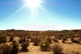 voiceofmaddie's tweet image. The current atmosphere of my booth. #springorsummer