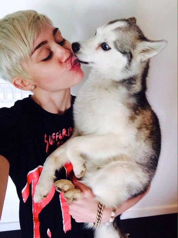 HiMileyRC's tweet photo. I couldn't forget if ever my dog died, too. https://t.co/lAmzEmeI5Z