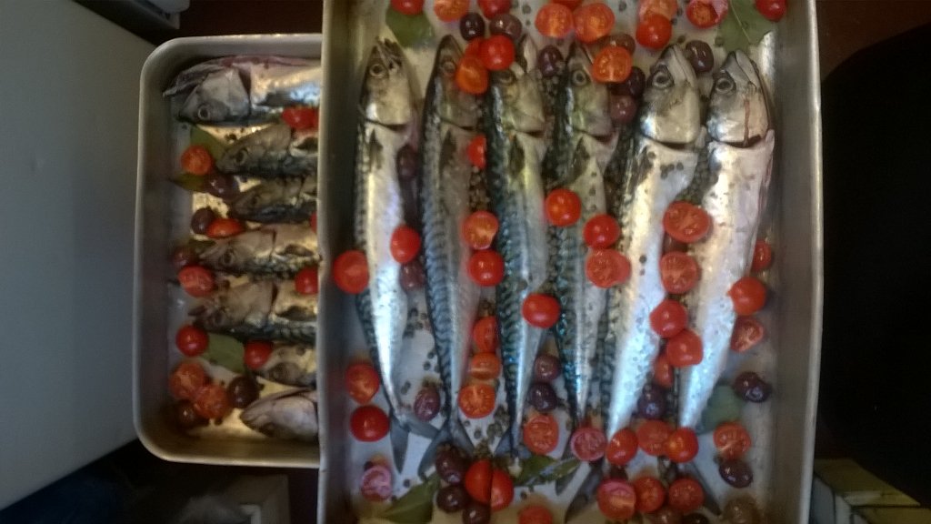 Italo Deli tweet media