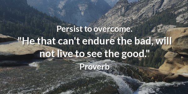 LuxuryTravel77's tweet image. Persist to overcome.  "He that can't endure the bad, will not live to see the good." #quote