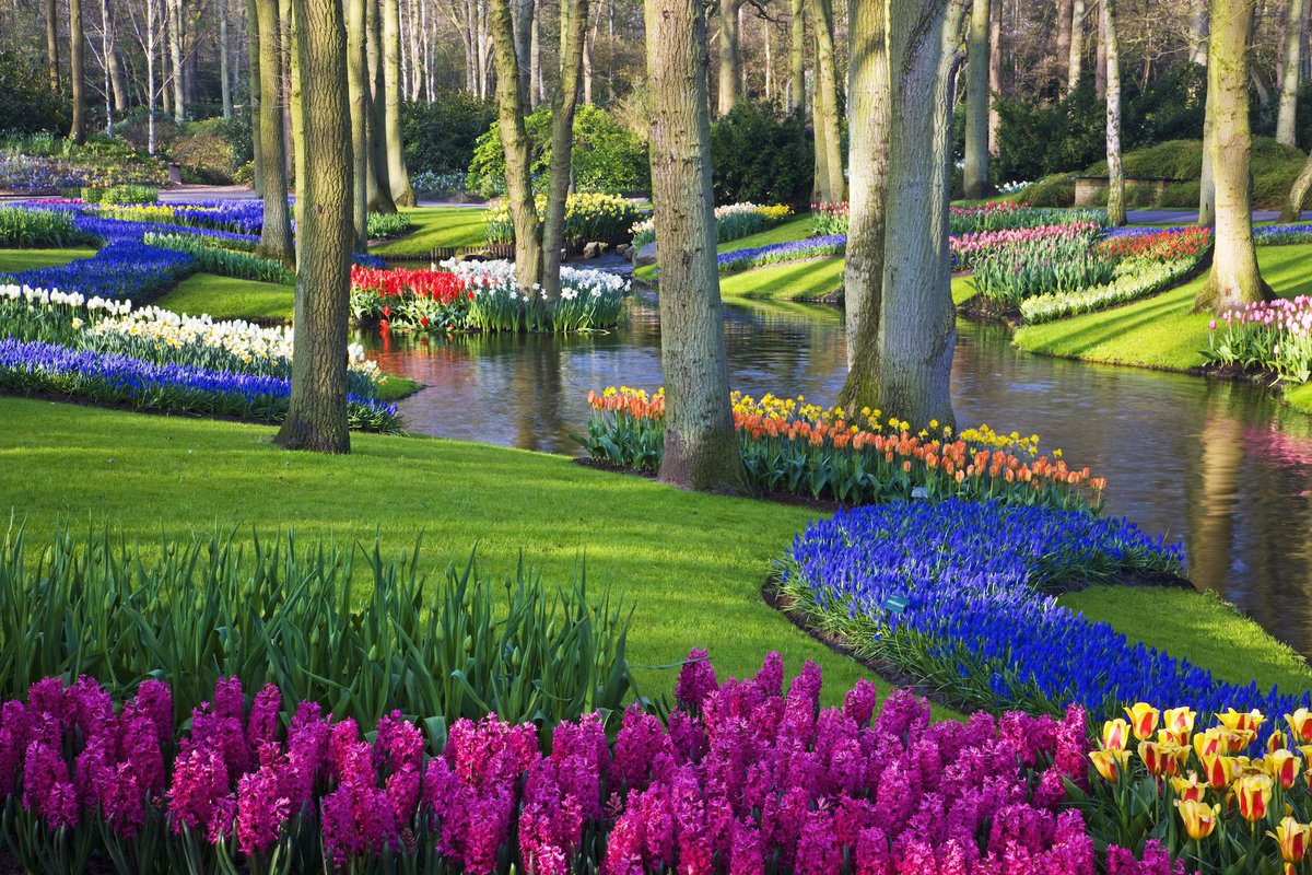 ArchDigest's tweet image. Springtime is full of wonderful flower festivals around the world. Here's where to see them: archdg.co/AXwHkS8