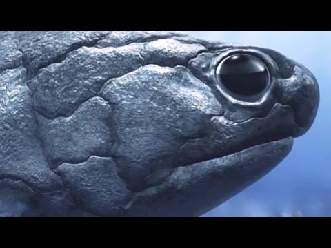 Berth Proclamation Georgetown University Erratic Education Information Conductor ... - maxfieldsorganics.com/berth-proclama…