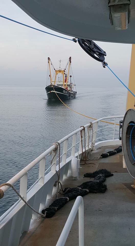 Albert Hartman tweet media