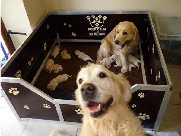 look how happy dad is