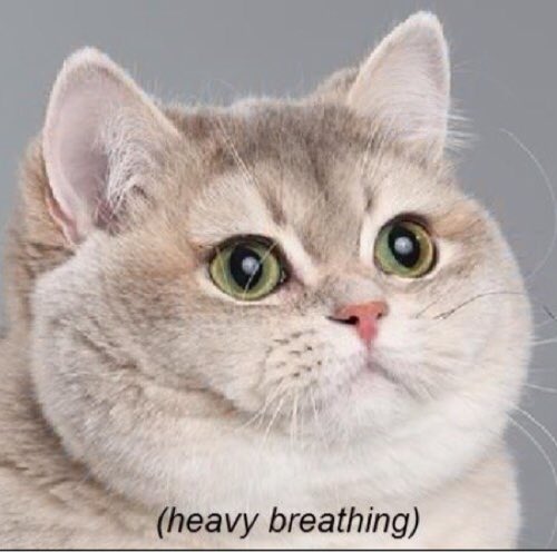 shadythought's tweet image. When I see all the people we have signed up for #MooseAWish Hype!Hype! #bringEgontoLegion @WarcraftDevs @Cryoxene