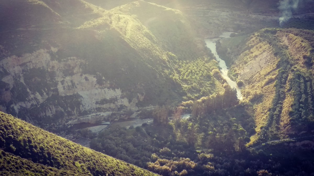 AmalMRabah's tweet photo. #springInJordan #ShareYourJordan #LiveLoveJordan #GoJo #Jerash #Jordan #VisitJordan #Spring #Nature #الاردن #جرش https://t.co/sQcbyieNXg