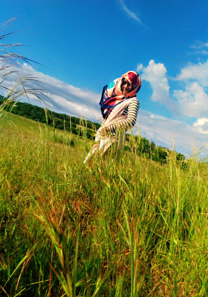 TiQifa tweet picture