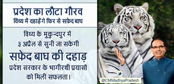 Glorious day for Vindhya region as world's 1st White Tiger Safari at Mukundpur is dedicated to citizens on April 3.