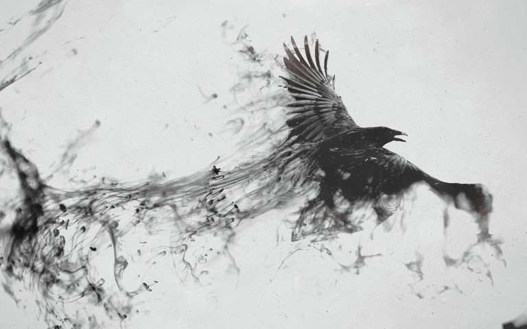 WallpapersLab's tweet image. Blackbird Raven Black and White Wallpaper
wallpaperslab.com/blackbird-rave…