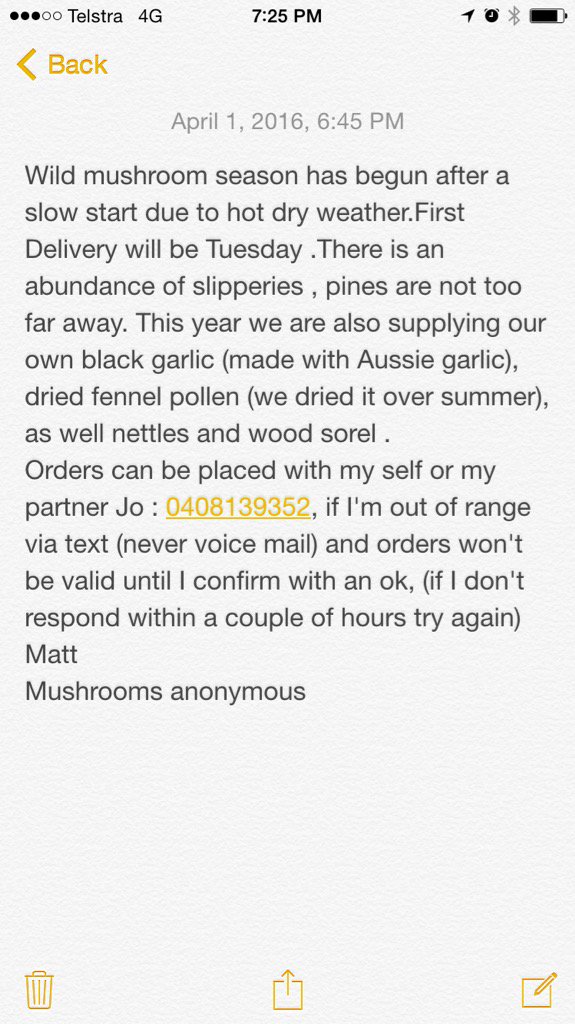 Mushrooms Anonymous (@mushroomsanon) on Twitter photo 