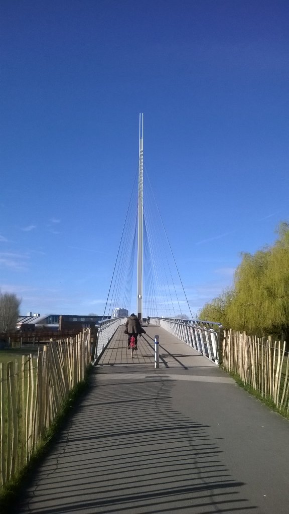 LizReal1's tweet photo. Good morning from Reading #rdguk #Thames #secretreading #architecture https://t.co/SZgADdBJ5l