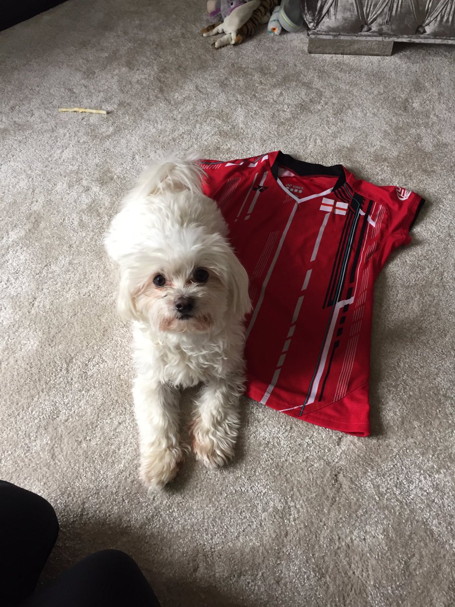 BowserAdcock's tweet photo. Im giving away1 of mummy's top signed by daddy aswell  🐾 follow me &amp; RT to win! I will bark the WINNER 6th April 🐶🏸 https://t.co/7eqeJA1bgj