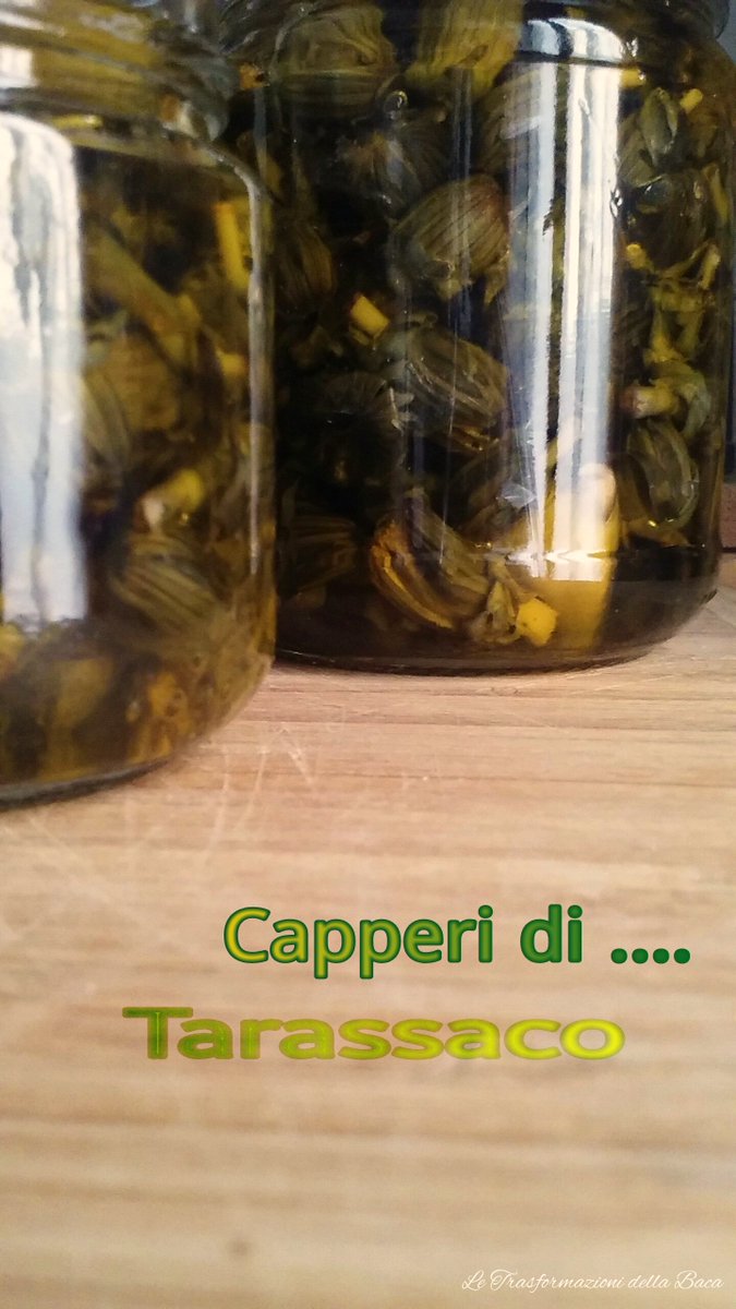 BachiniMarcella's tweet photo. Amo la #natura e tutto ciò che ci offre come questi #capperi di #tarassaco 
https://t.co/F5DlXDa645 https://t.co/NeLwXEHXq3
