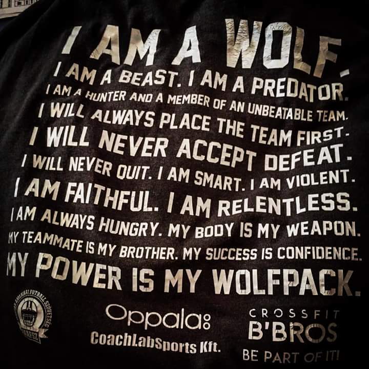 BudapestWolves's tweet photo. Gameday! Let the season begin!
GoWolves!

#budapestwolves #WOLvsHER #HFL #wolfpack https://t.co/h2YOkzwbMj