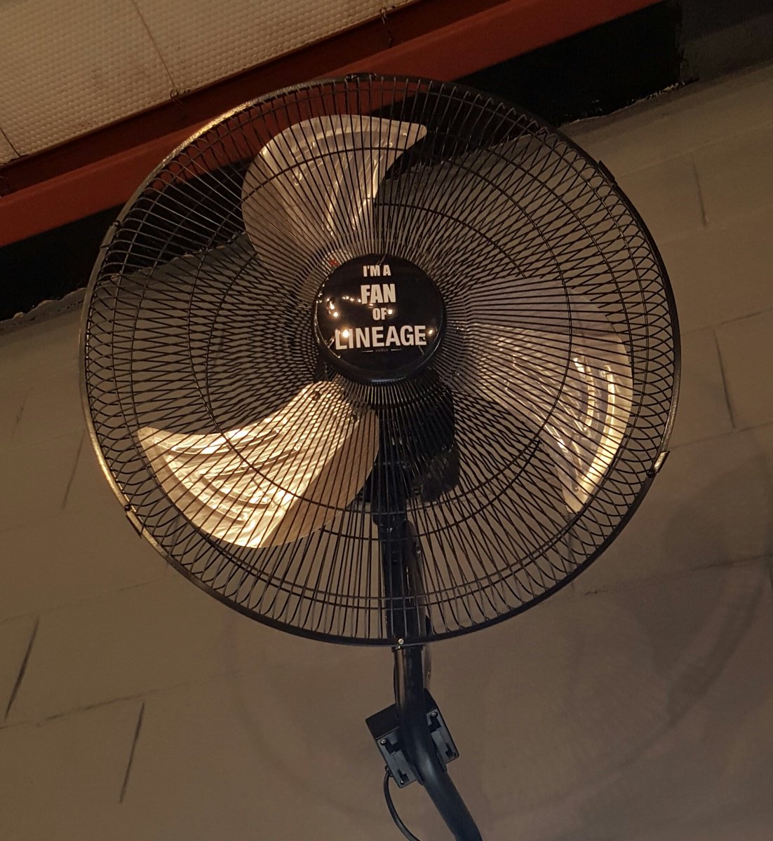 😆 <a href="/lineagecoffee/">Lineage Coffee</a>