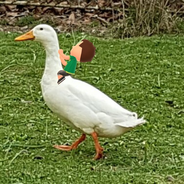 CfBz4nmXEAE85ev.jpg