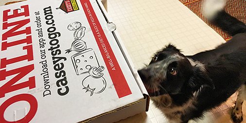 caseysgenstore's tweet image. When you realize everyone craves Casey&apos;s pizza.. #EvenDogs #MyCaseys
