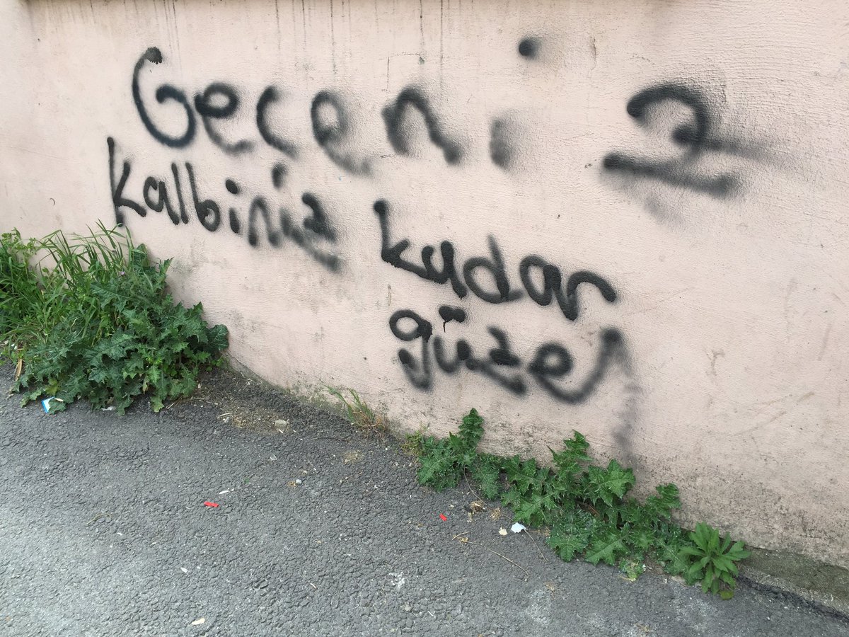 genç ama yaşlı (@sadecebedengenc) on Twitter photo 