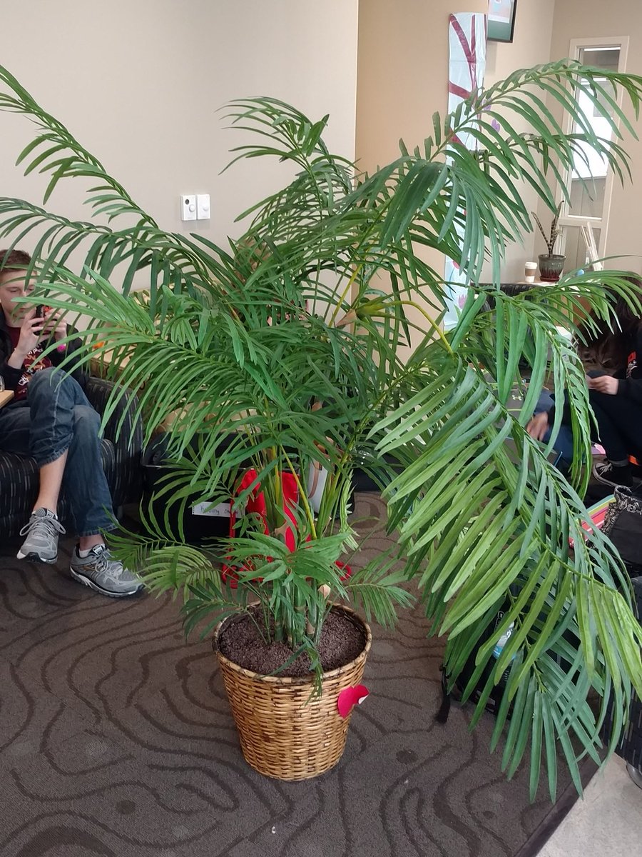 Oregon FTW #wsostate #trikru