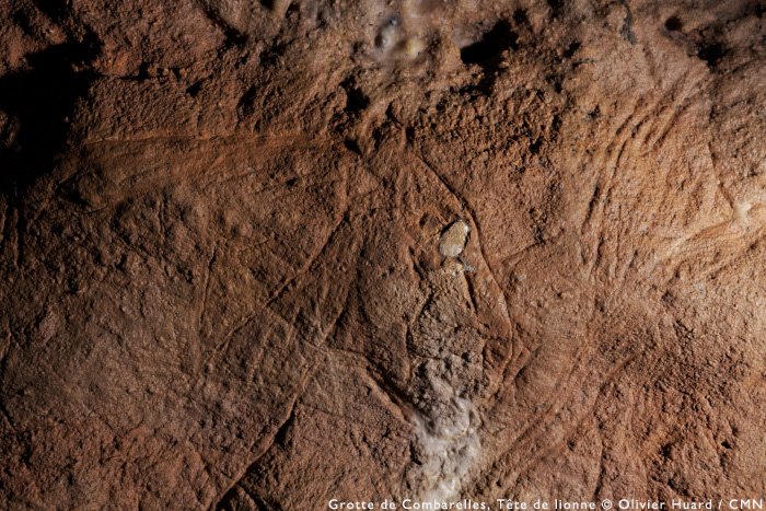 leCMN's tweet photo. Ds la grotte de #Combarelles, à l’époque Magdalénienne, on peignait avec un vrai sens du détail. #ZoomMW #MuseumWeek https://t.co/pNm41TG0sp
