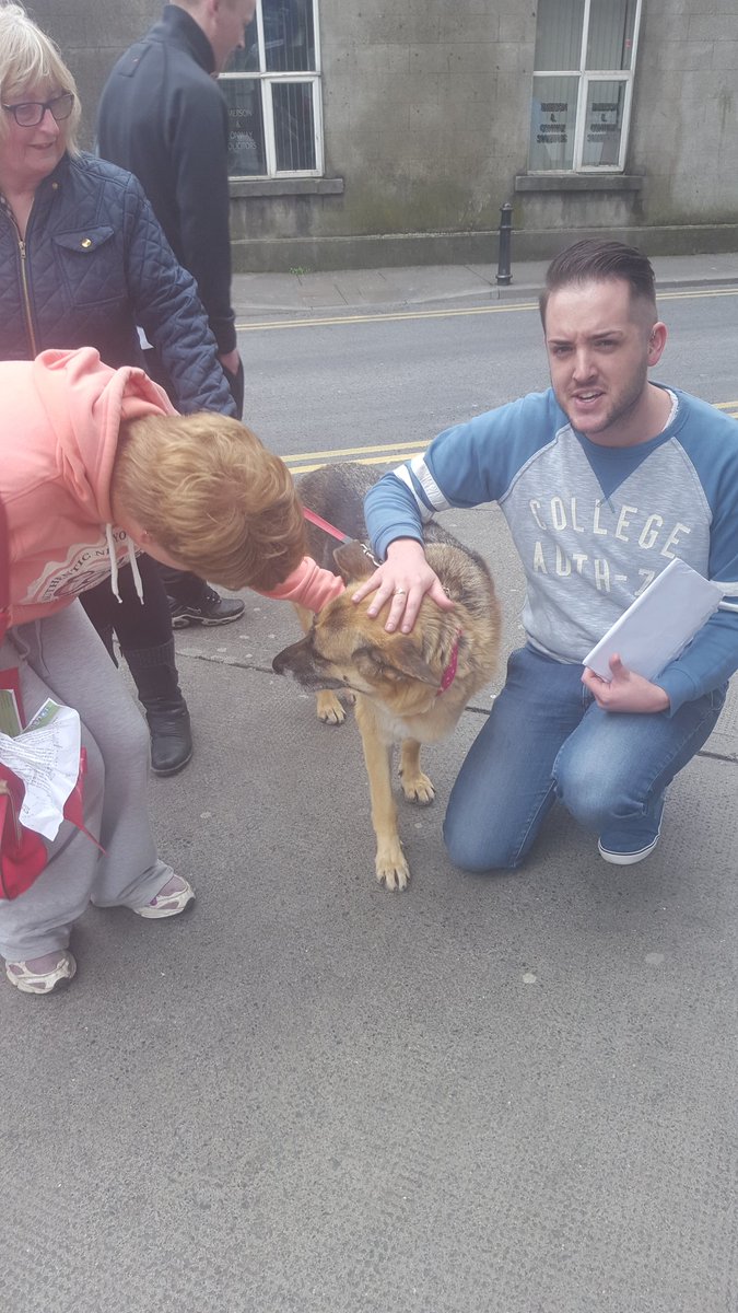 darrenfarrell16's tweet photo. #dog #GetWest #4sisters https://t.co/WmqKm3lJok
