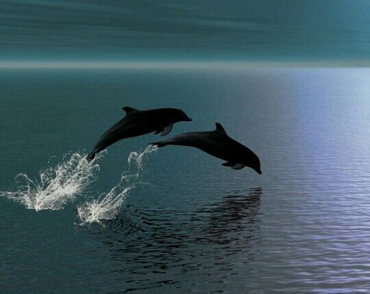 𝓐𝓲𝓰𝓮𝓷ـــــــ (@imaigen) on Twitter photo 