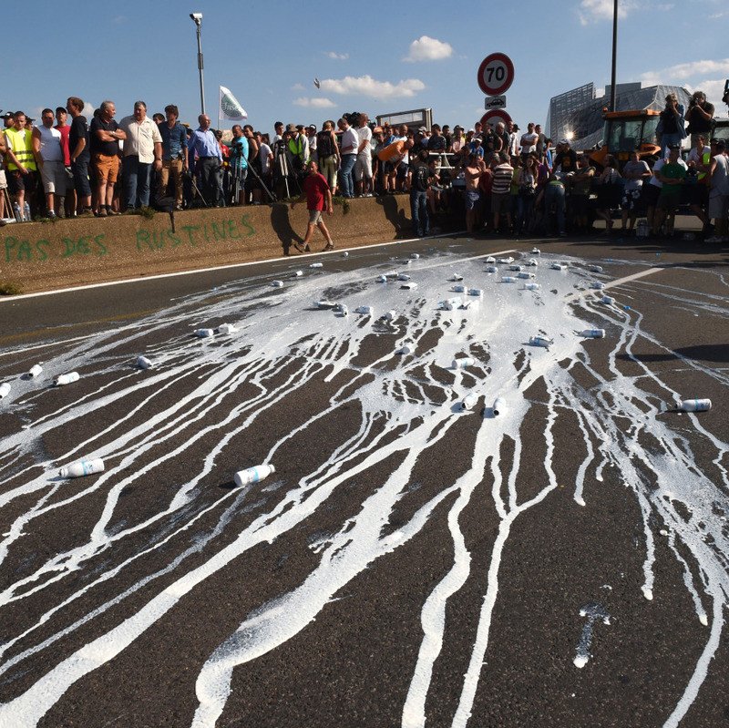 Belgian dairy farmers call for emergency milk quotas - theglobaldairy.com/noticias/belgi…