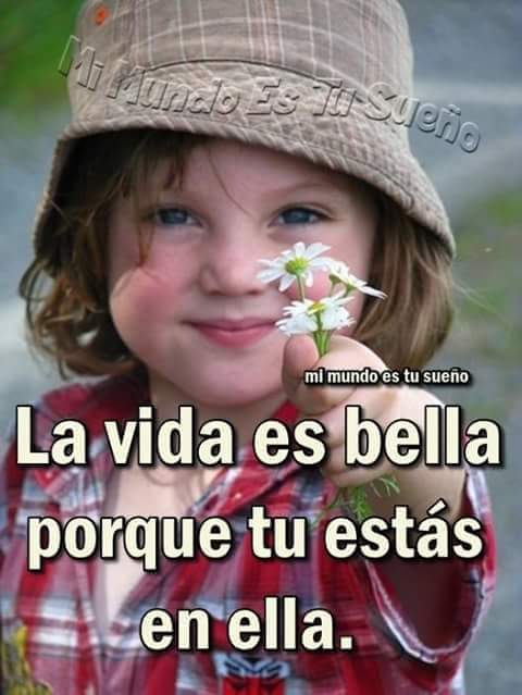 arroyo_alvarez's tweet photo. @IzEadt @caitorosales @scarw23 @mmgarciaj @yaya60441 @MarinerExplorer @lojumada Feliz finde grupazo #EADT565 https://t.co/ae0e5ZYiFv