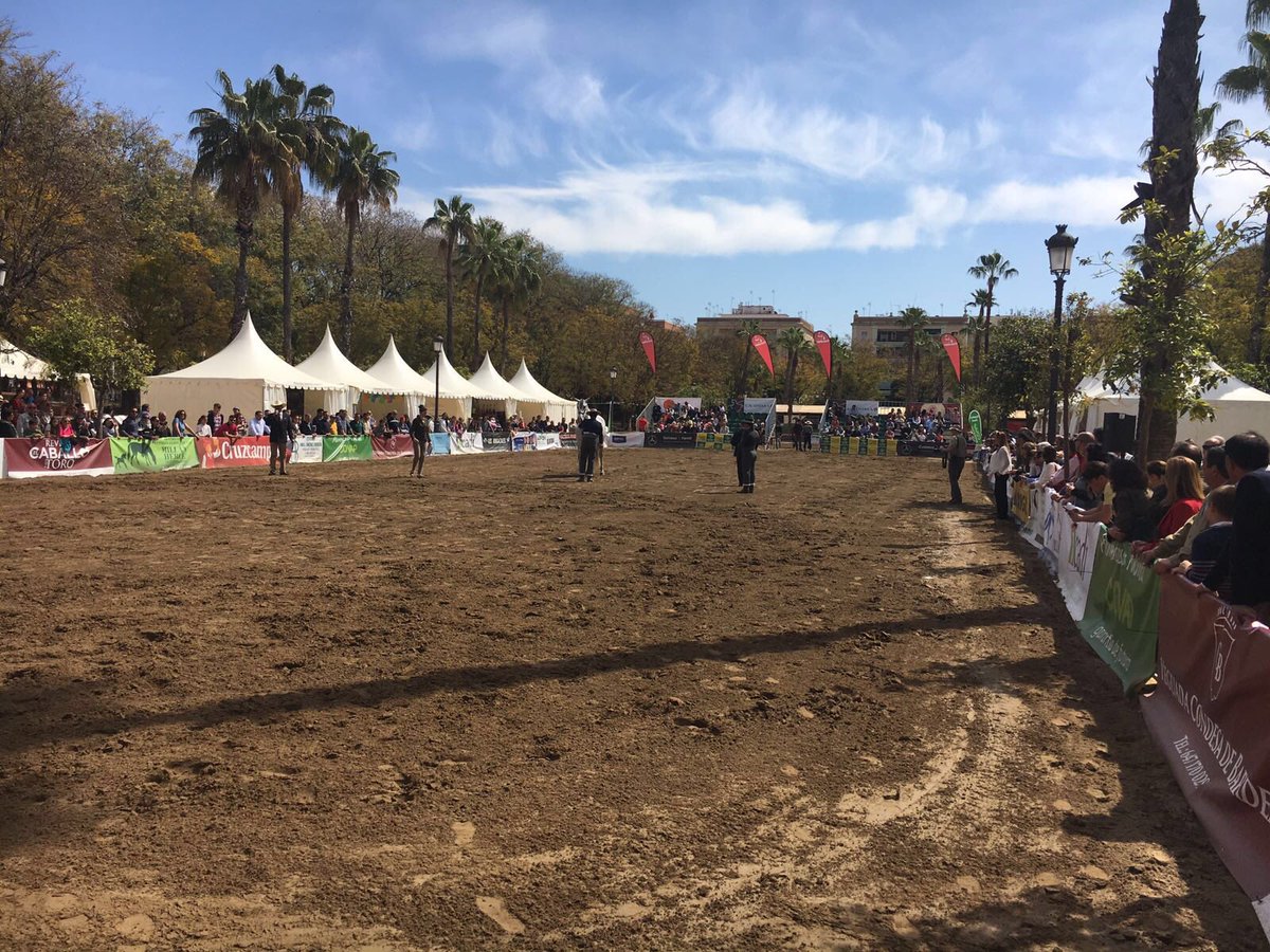 C_SERVA2017's tweet photo. Un numeroso público aprovecha el sábado para disfrutar de @C_SERVA2016.
#SERVA2016 #Caballos #PRE https://t.co/wkXd3w9RsO