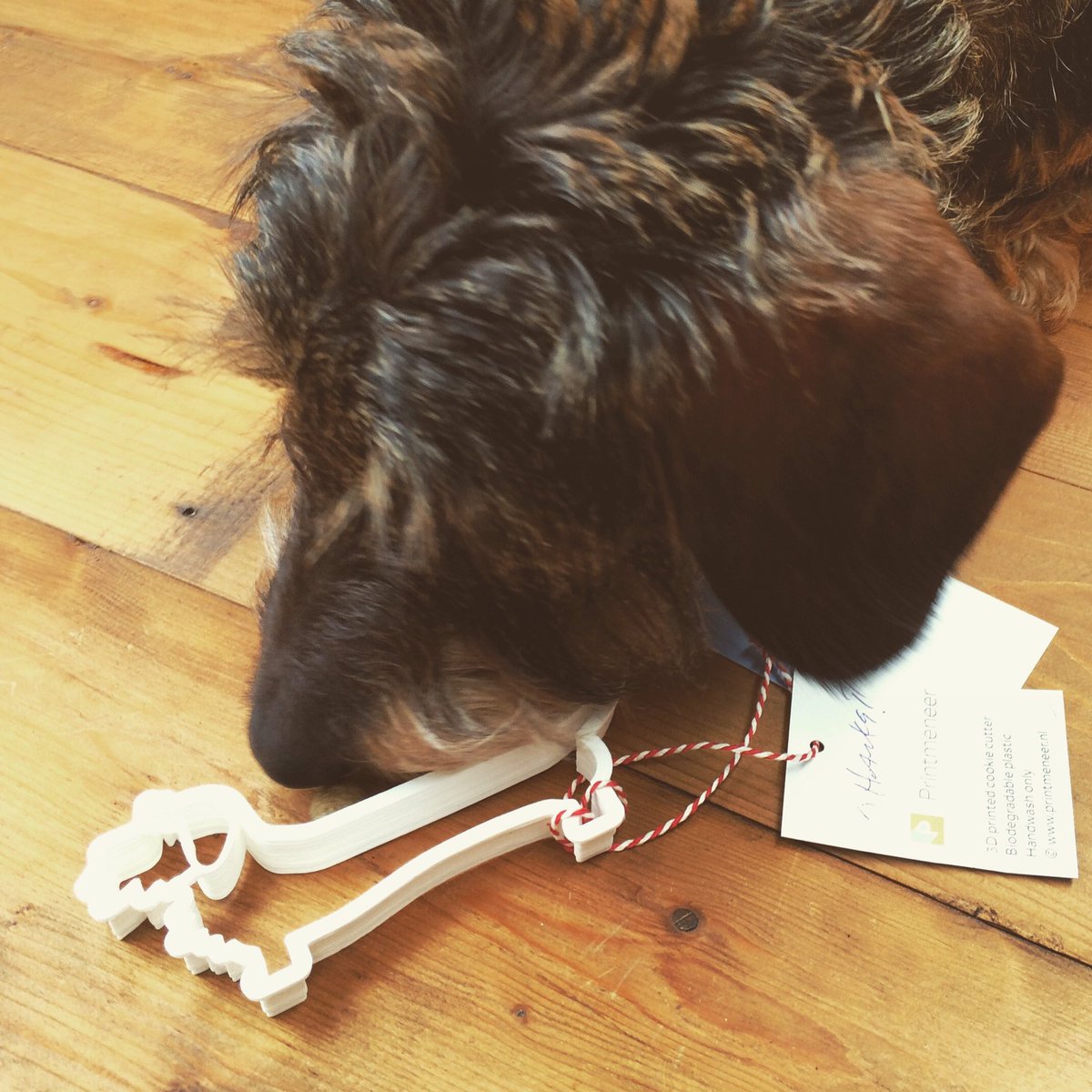 leendertpuntcom's tweet photo. Custom designed &amp; 3D printed (@printmeneer) dachshund cookie cutter! https://t.co/H1CThzRj5k