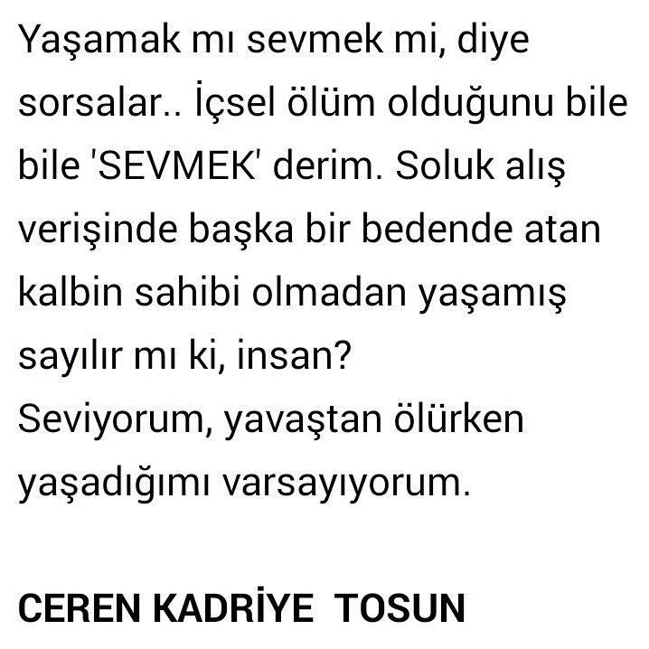 NOT : ALINTI DEĞİLDİR!

CEREN KADRİYE TOSUN