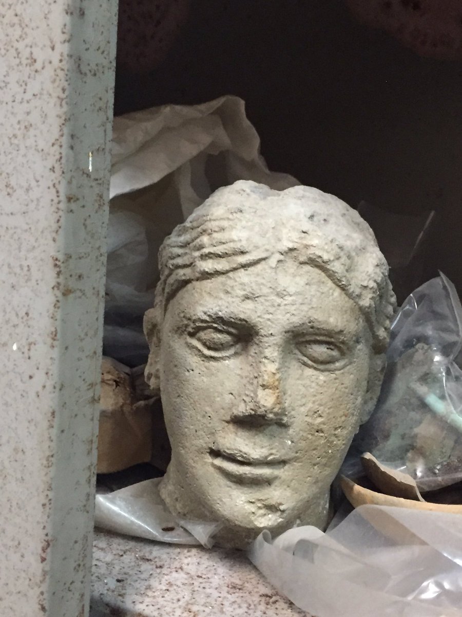 MuseoArcheoSA's tweet photo. #ZoomMW i sotterranei del museo nascondono la storia della città: Hortus Magnus @MuseumWeek #MuseumWeek https://t.co/blah3cVxh1