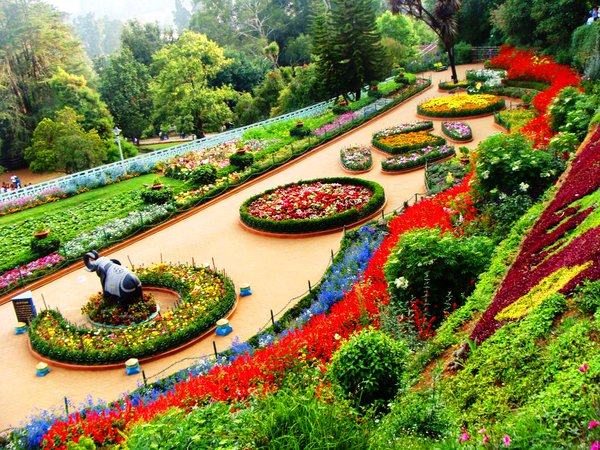 triphills's tweet photo. Have you ever been to this beautiful exotic #botanicalgarden depicts breath taking view in #Ooty, #TamilNadu https://t.co/vAlJb5Vg0P
