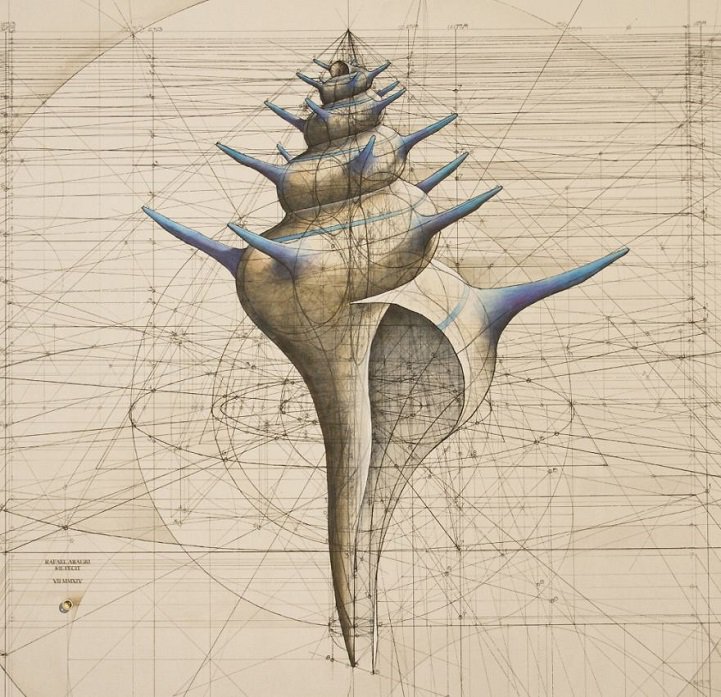 Coloring Book Celebrates Mathematical Beauty of Nature with Golden Ratio Illustrations mymodernmet.com/profiles/blogs…