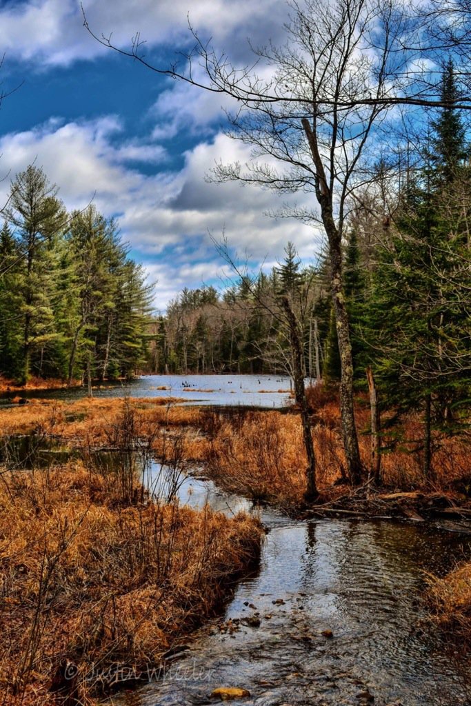 VisitNH tweet picture
