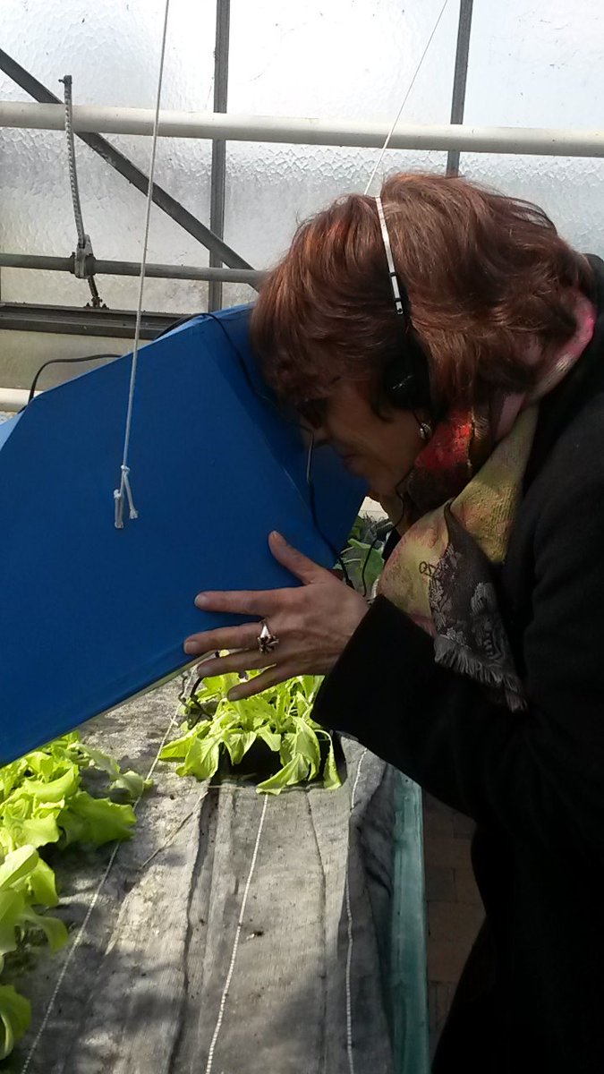 EnsAgri62's tweet photo. Admirez l'agroécologie vue par les élèves de Lomme https://t.co/JS9ubgcs5O