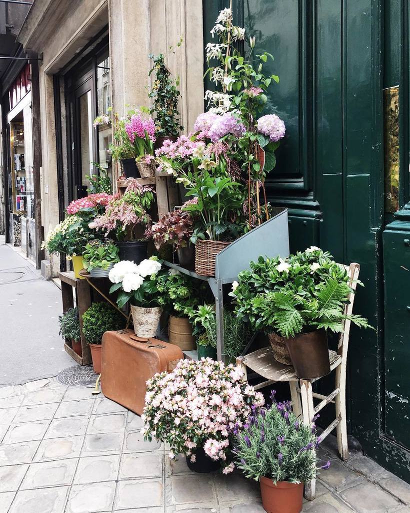 AlpanaDeshmukh's tweet photo. This flower shop is quite the Left Bank celebrity 🌟📸 #storetraits #flashesofdelight #stger… https://t.co/3BrpHkXBmm https://t.co/MIjCXOIeOM