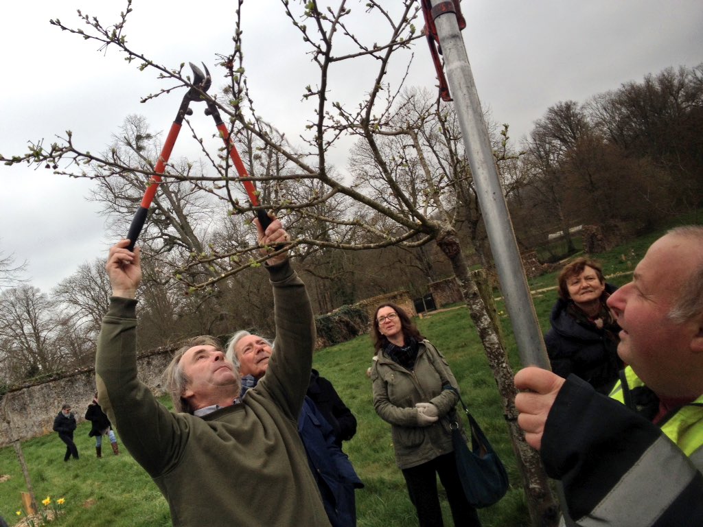 ThironGardais's tweet photo. Atelier taille des arbres fruitiers avec les #croqueurs de pomme #perche @ThironGardais inauguration de l'étiquetage https://t.co/J32AIBEf7W