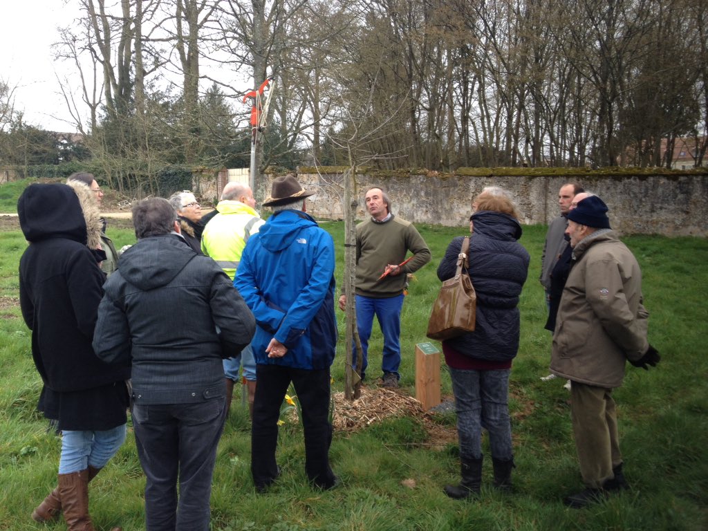 ThironGardais's tweet photo. Atelier taille des arbres fruitiers avec les #croqueurs de pomme #perche @ThironGardais inauguration de l'étiquetage https://t.co/J32AIBEf7W