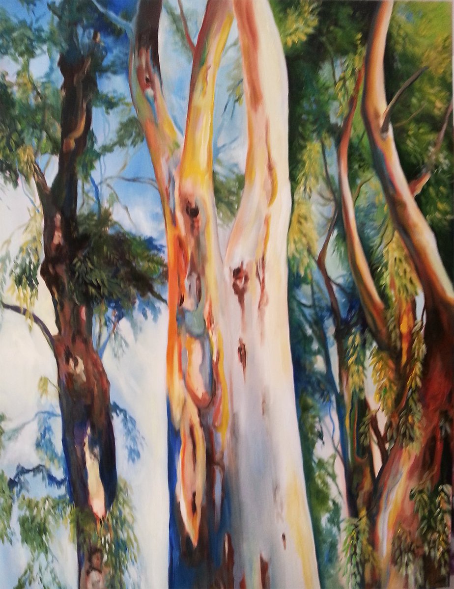 Dorit Adrin, Art, Oil on Canvas, Nature, Eucalyptus Trees
דורית אדרין, שמן על קנווס, צמחייה, טבע, עץ, אקליפטוס, עצים