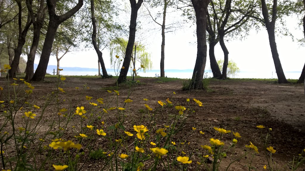 MotociclistaR's tweet photo. Primo #campeggio dell'anno 🌼#lago #Bracciano #lake #camping #flower #fiore #lagodibracciano #natura #nature https://t.co/48pke0Zod5