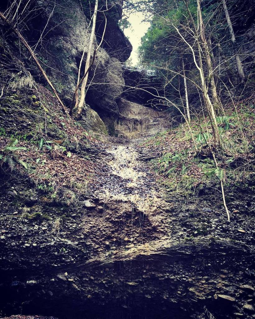TuttoMTB's tweet photo. hersche88 / #fitline #schweiz #switzerland #roleto
#mtb #mountainbike #downhill #freeride #trail #specialized #fatb… https://t.co/O1gb7IgZqb