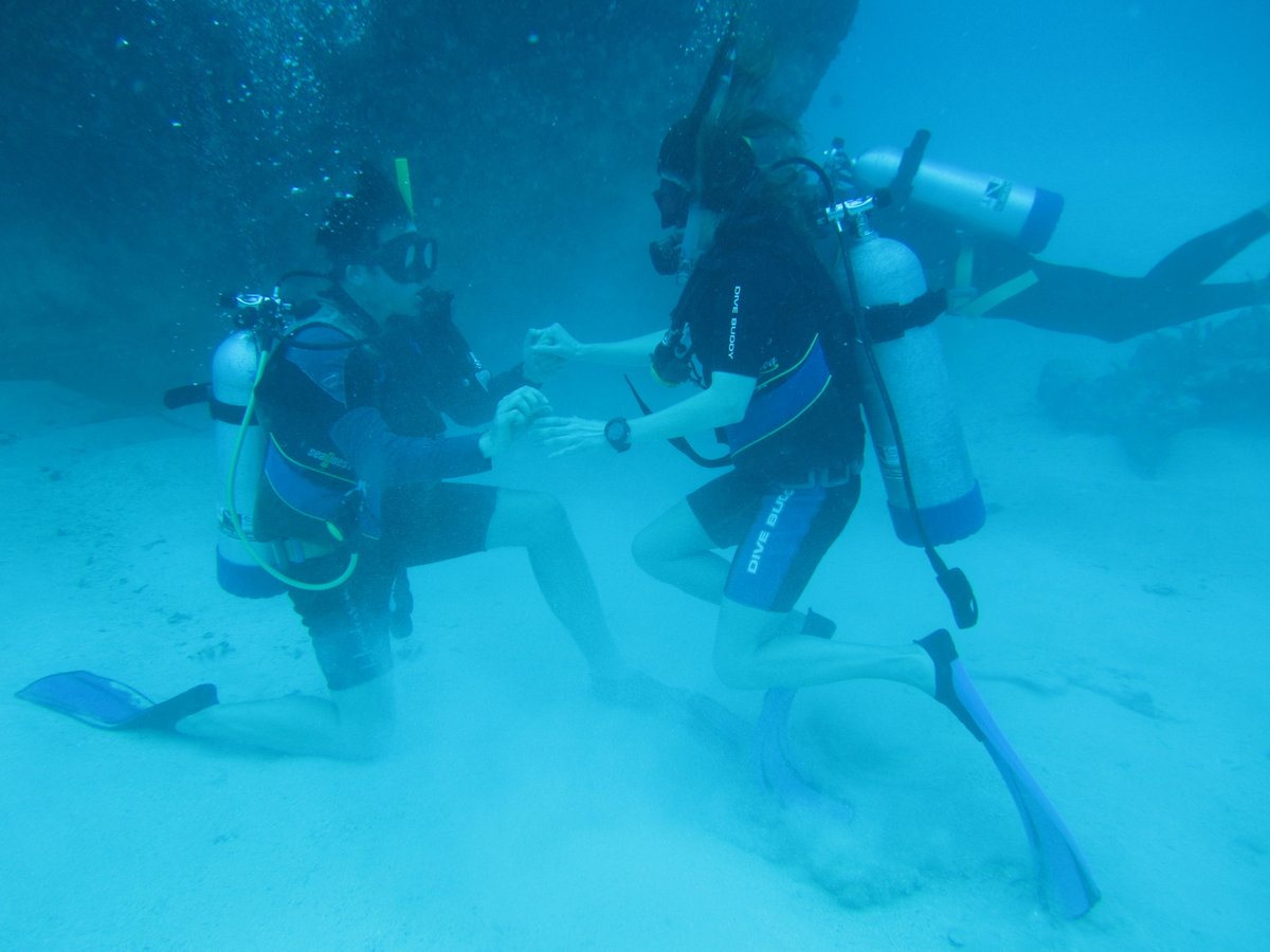passportmommy's tweet image. #scuba #proposal! 65 feet deep! #engagements #engagementrings #weddings #love #surprise #Anguilla #gettingmarried!