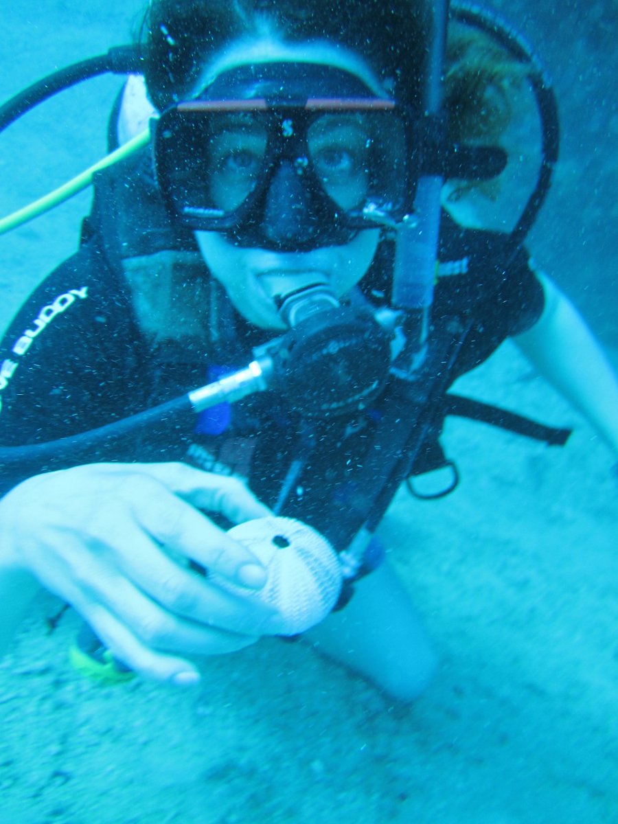 passportmommy's tweet image. #scuba #proposal! 65 feet deep! #engagements #engagementrings #weddings #love #surprise #Anguilla #gettingmarried!